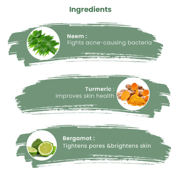 ingredients of neem body wash