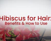 Hibiscus for hair