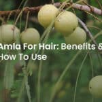 Amla for hair growth
