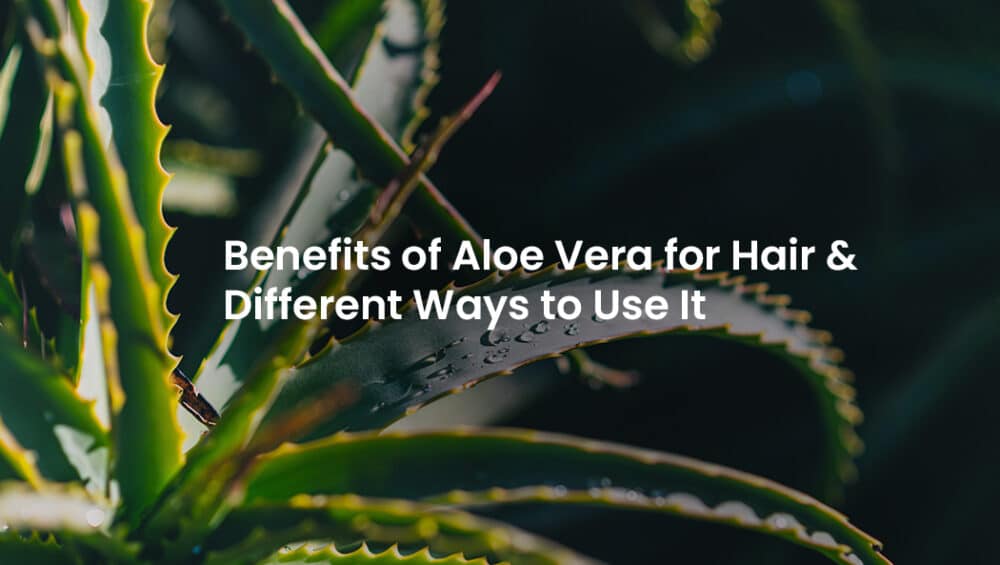 aloe vera for hair