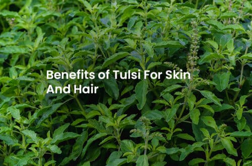 Tulsi Benefits For Skin And Hair